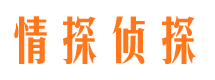 原阳市私家侦探